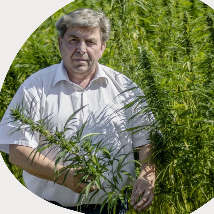Hemp production